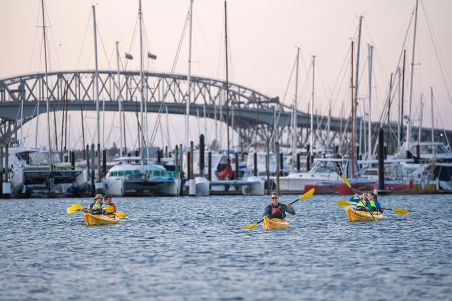 Auckland: City Lights Night Kayak Tour - How the guides make it feel easy (even if it’s your first kayak)