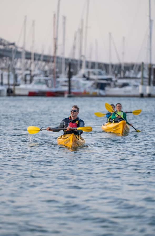 Auckland: City Lights Night Kayak Tour - What you get included (and what you should plan for)