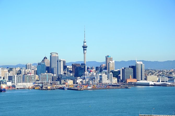 Auckland City & Native Forest Experience - Fully Guided Day Tour - Downtown Auckland Stops: Harbour Bridge, Westhaven Marina, Bastion Point, and Parnell