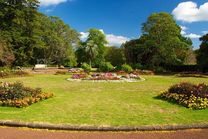 Auckland City & Native Forest Experience - Fully Guided Day Tour - Price and Value: What $232.71 Buys You (and What It Doesn’t)
