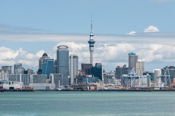 Auckland City & Native Forest Experience - Fully Guided Day Tour - Getting Around: Pickup, the 8-Hour Rhythm, and a Small-Group Minibus