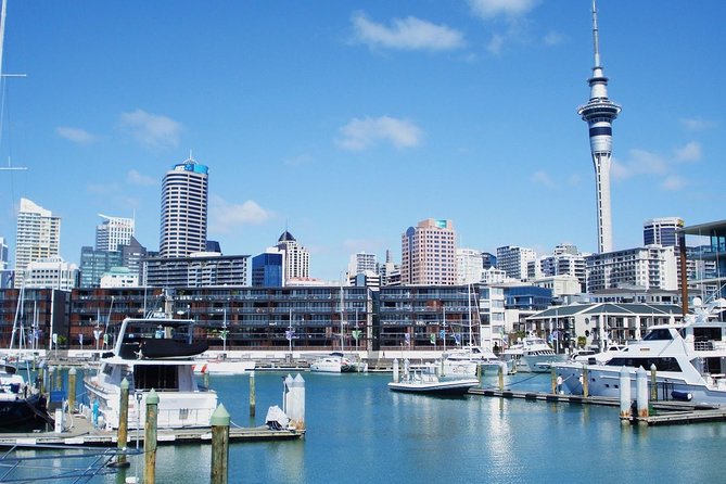 Auckland City Private Tour for Couples. Be chauffeur driven with added extras. - St Heliers via Archilles Point: The Final Harbour-View Payoff