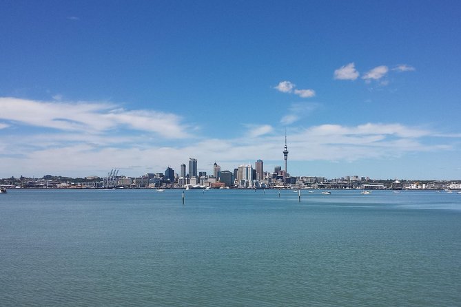 Auckland City Small-Group Morning Discovery Tour - Westhaven Marina and Waitematā Harbour: a big harbor with big scale