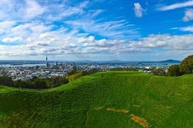 Auckland City Volcano & Scenic Highlights Tour - Price and Value: What $130.32 Actually Buys