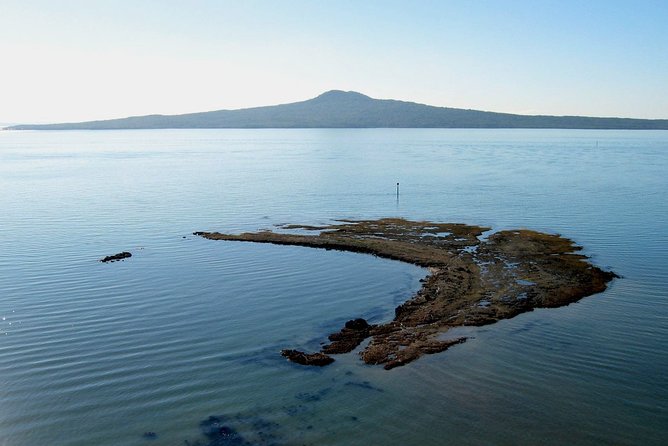 Auckland Coastal Experience - Small Group City & Beach Tour Incl. Wine Tasting - Auckland in One Long Day: How This Route Really Works