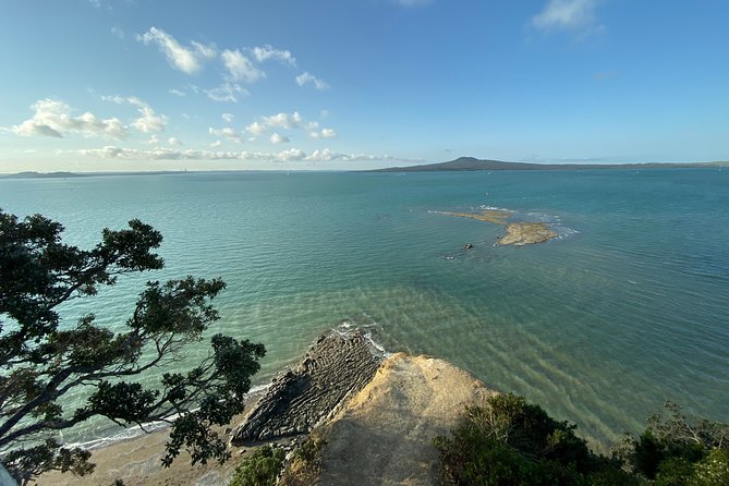 Auckland Coastal Experience - Small Group City & Beach Tour Incl. Wine Tasting - Harbor Bridge to Westhaven: Your First Big Look at Auckland