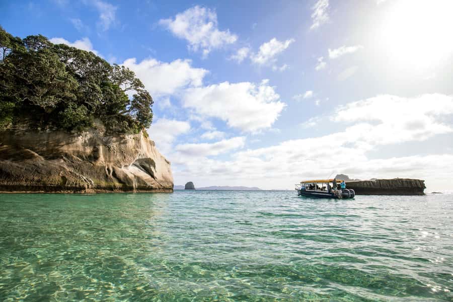 Auckland: Coromandel Driving Creek & Cathedral Cove Day Tour - The role of the guide: why it changes the experience