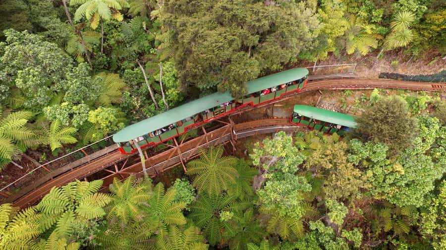 Auckland: Coromandel Driving Creek & Cathedral Cove Day Tour - A day that starts early for a reason