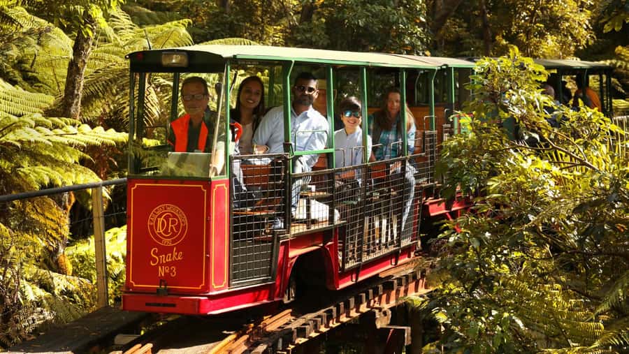 Auckland: Coromandel Driving Creek & Cathedral Cove Day Tour - Driving Creek Railway: handmade engineering through regenerating forest