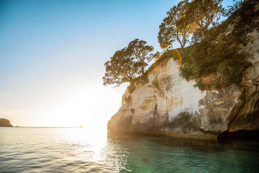 Auckland: Coromandel Driving Creek & Cathedral Cove Day Tour - Whitianga break time: lunch reset and a breather
