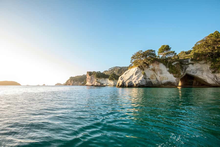 Auckland: Coromandel Driving Creek & Cathedral Cove Day Tour - Cathedral Cove Marine Reserve: the 45-minute track with big payoff
