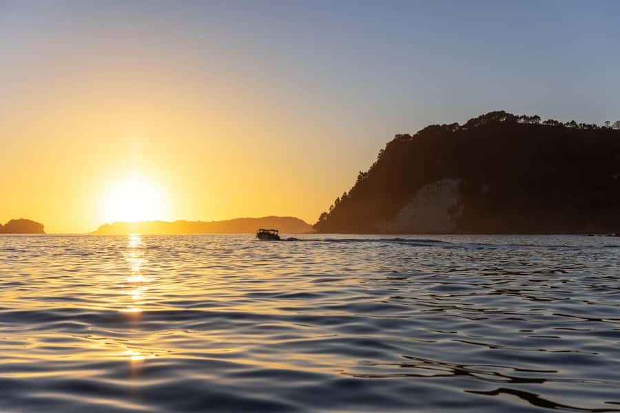 Auckland: Coromandel Driving Creek & Cathedral Cove Day Tour - What the day feels like: pace, effort, and comfort