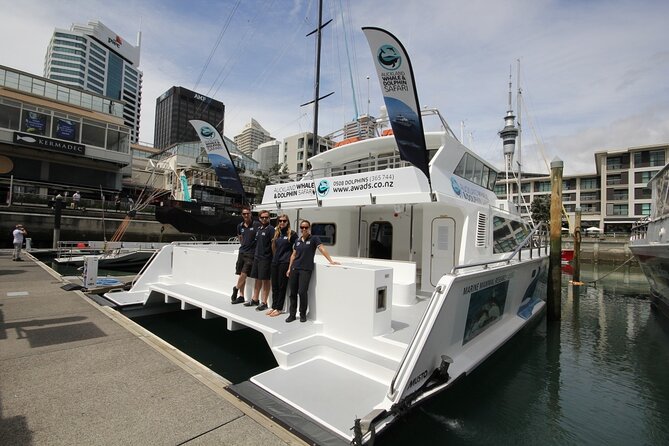 Auckland Dolphin and Whale Watching Eco-Safari Cruise - A 4.5-hour eco safari that starts in the heart of Auckland