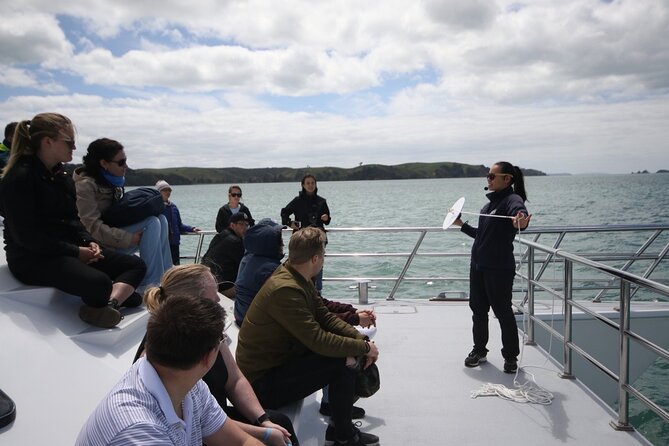 Auckland Dolphin and Whale Watching Eco-Safari Cruise - The real value: marine research scientists turn watching into understanding