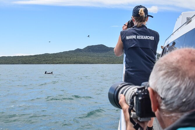 Auckland Dolphin and Whale Watching Eco-Safari Cruise - Photo and comfort tips that prevent the usual regrets