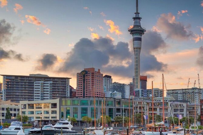 Auckland Downtown Hotel Transfers to/from Cruise Ship in Minivan - Price and Value: $42 Per Group (Up to 4) Makes Sense