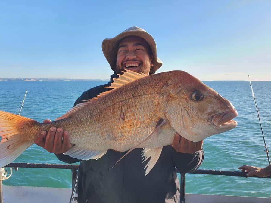 Auckland: Full-Day Fishing Charter (7 am - 4 pm) - Key points at a glance