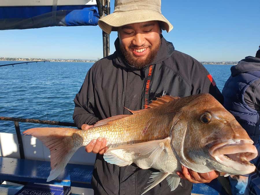 Auckland: Full-Day Fishing Charter (7 am - 4 pm) - Targeting snapper, kahawai, gurnard, and local variety