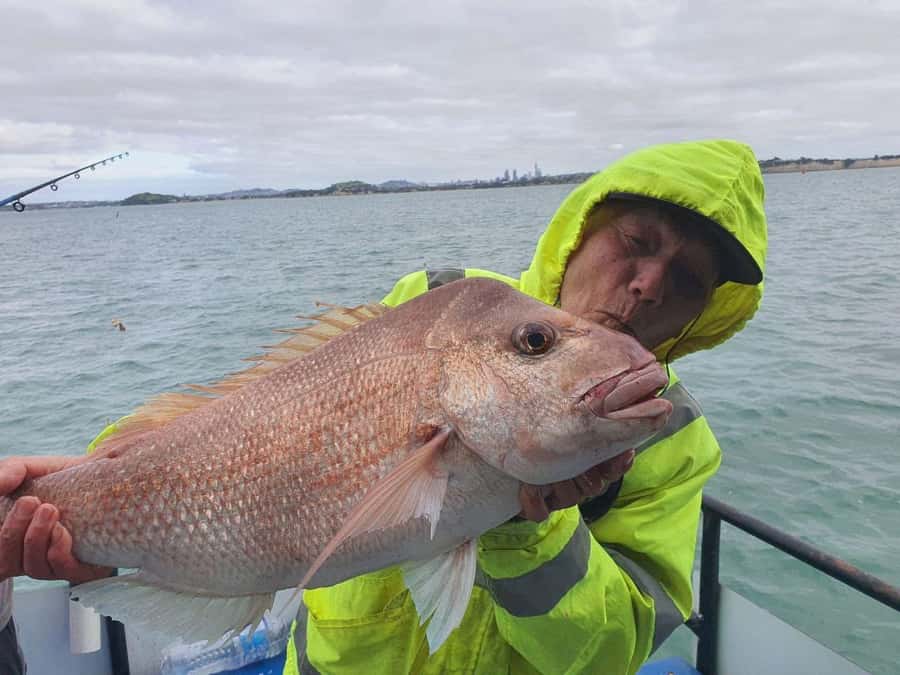 Auckland: Full-Day Fishing Charter (7 am - 4 pm) - Cruising the coast: views you actually get time to enjoy