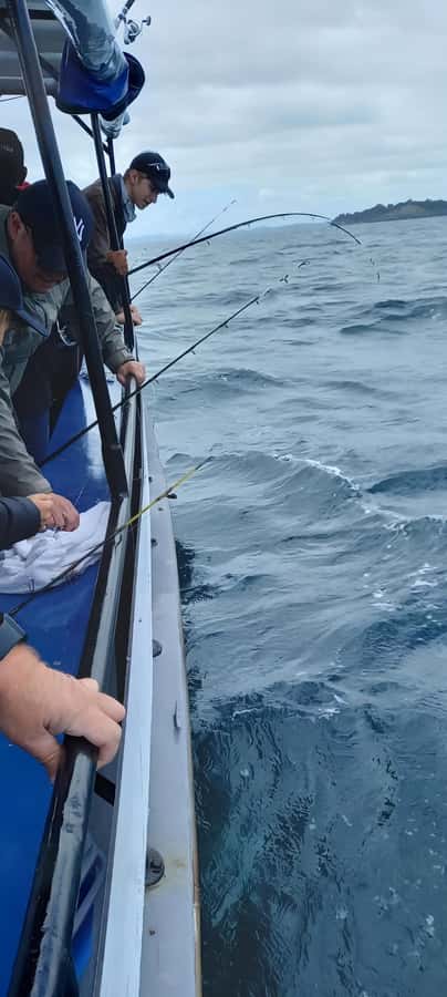 Auckland: Full-Day Fishing Charter (7 am - 4 pm) - Price and value: $45 is the base, not the whole story