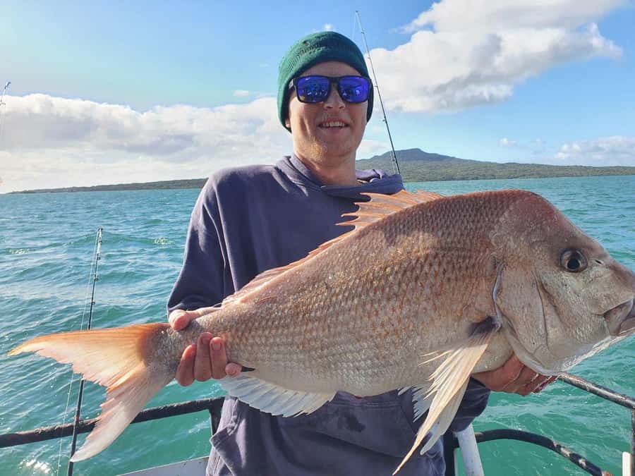 Auckland: Full-Day Fishing Charter (7 am - 4 pm) - Z Pier Westhaven Marina meet-up: quick logistics that prevent stress