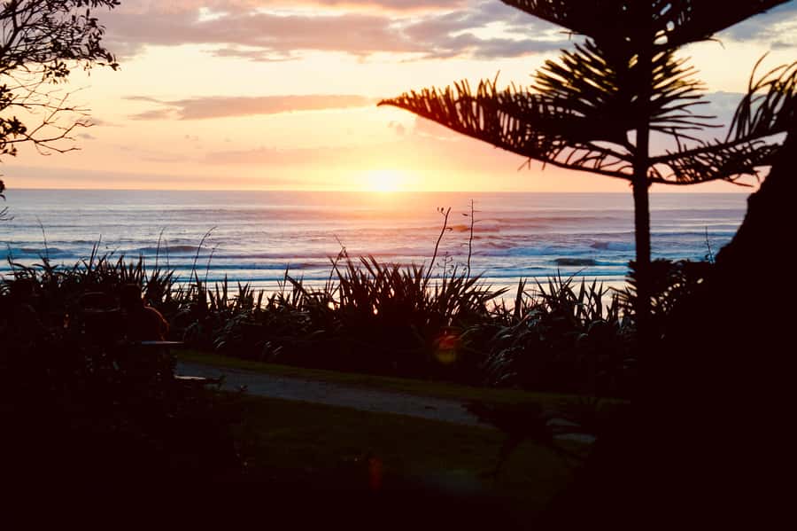 Auckland: Group Surfing Lesson with Muriwai Surf School - Safety on the shore and in the water