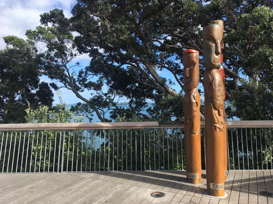 Auckland: Half-Day Auckland Volcanoes Tour - Key things to know before you go