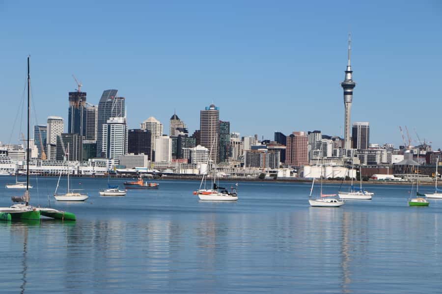 Auckland: Half-Day Scenic Sightseeing Tour - North Head for 360-degree views and WWII tunnel stories