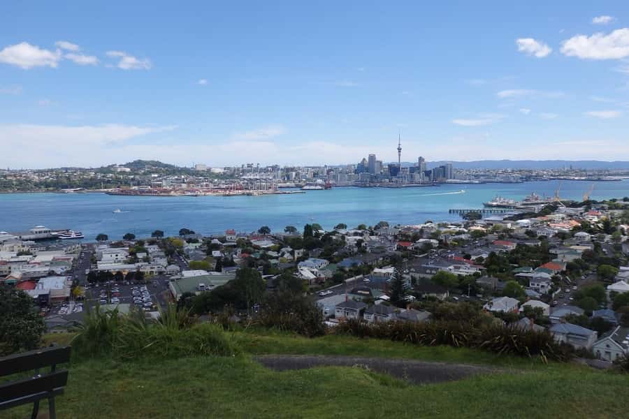 Auckland: Half-Day Scenic Sightseeing Tour - Guides, pacing, and comfort: what makes this tour feel good in real life
