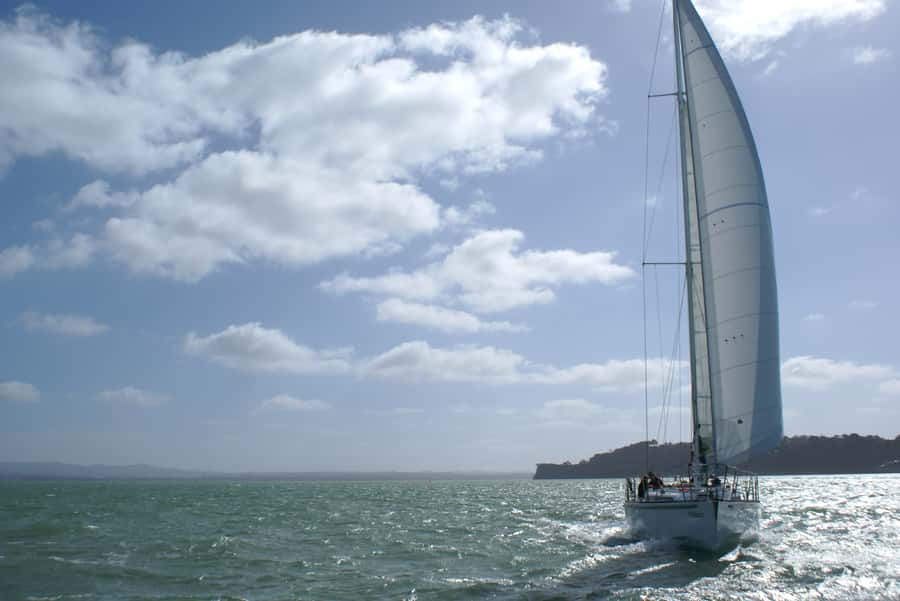 Auckland Harbour 1.5-Hour Sailing Cruise - Group size: when a small yacht feels social