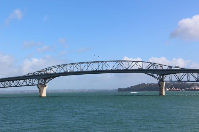 Auckland Harbour Cruise - Price and Value: What $36.61 Buys You