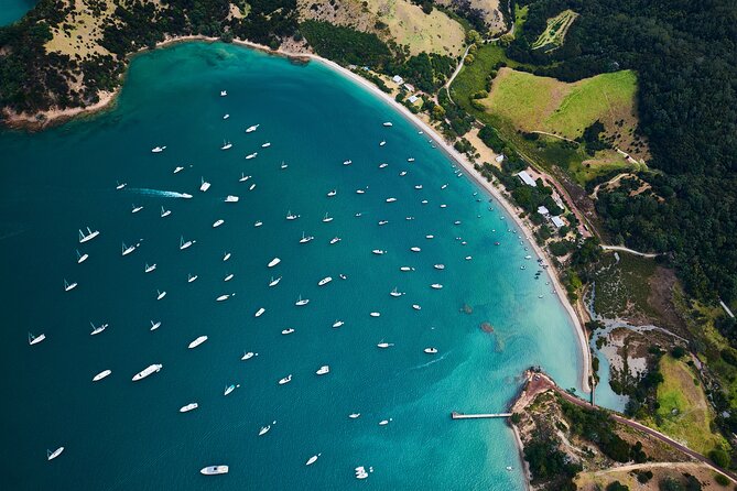 Auckland Harbour Sailboat Cruise Including Three Course Dinner - Jackets, blankets, and motion: comfort tips that actually help