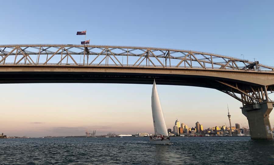 Auckland: Harbour Sailing Cruise with 3-Course Dinner - Getting from Viaduct Harbour to the water: where you start