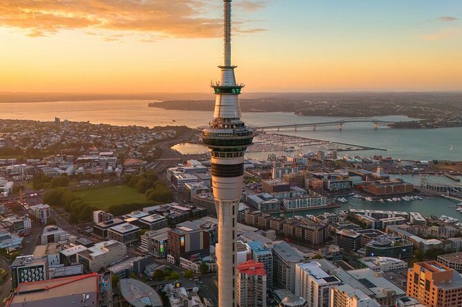 Auckland Highlight Attractions Small Group Tour - Mt. Eden: the crater climb that turns into skyline proof