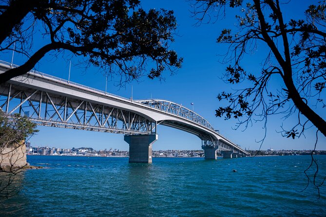 Auckland Highlight Attractions Small Group Tour - Price and value: what $99.29 buys you in real terms