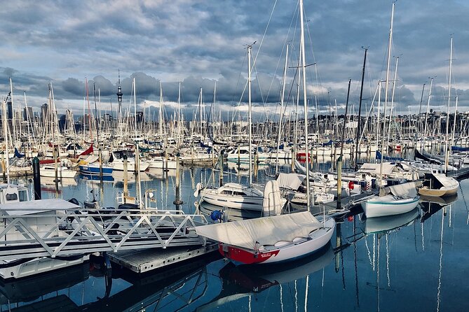 Auckland Highlight Attractions Small Group Tour - The guides: why Sam’s style is a big part of the payoff