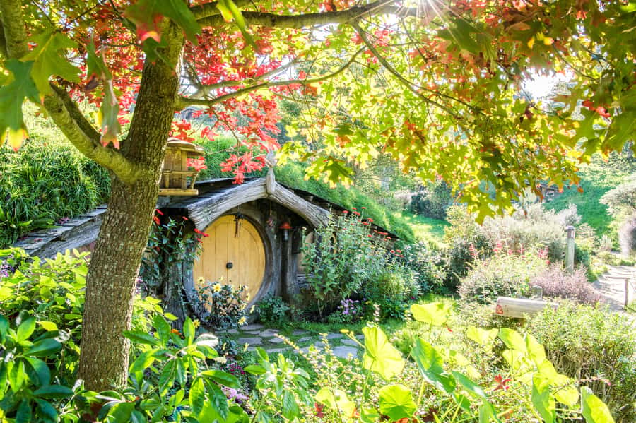 Auckland: Hobbiton Movie Set Tour with Lunch - Key Things to Know Before You Go