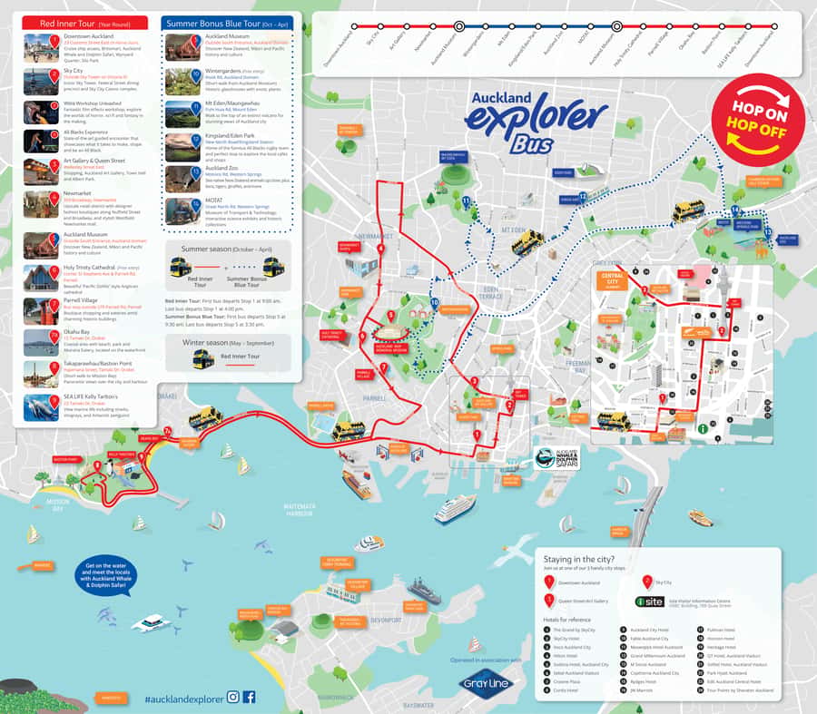 Auckland: Hop-On Hop-Off Explorer Bus Ticket - Timing and waiting: how to structure a one-day hop-off plan
