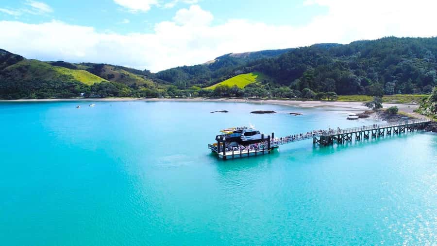 Auckland: Man O' War Vineyard Ferry (Waiheke Island) - A day trip with a simple idea: ferry over, slow down