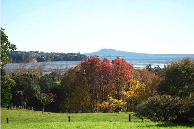 Auckland Nature Tour - Auckland Turns Green Fast: What This Half-Day Really Feels Like