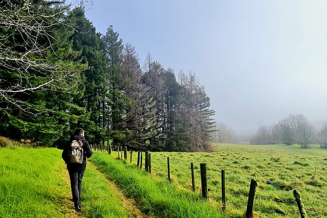Auckland Nature Tour - Ayrlies Garden & Wetlands: The 2-Hour Walk That Drives the Value