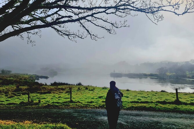 Auckland Nature Tour - Price and Logistics: Does $198.58 Feel Like Value
