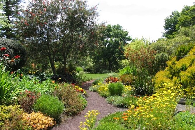 Auckland Nature Tour - Should You Book the Auckland Nature Tour? My Call