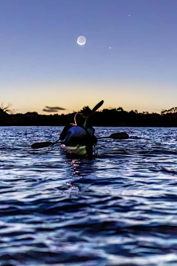 Auckland: Night Kayak Tour in Glowing Bioluminescent Waters - Sea Sparkle on Auckland water: what makes this night paddle special