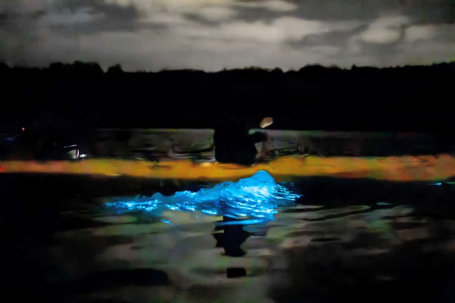 Auckland: Night Kayak Tour in Glowing Bioluminescent Waters - Starry sky + low light planning: why moon phase matters