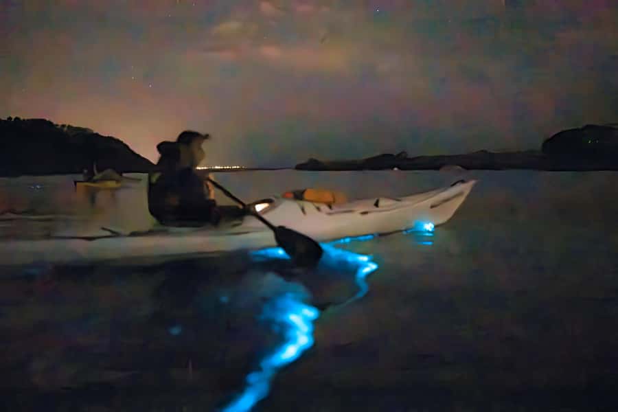 Auckland: Night Kayak Tour in Glowing Bioluminescent Waters - From sunset briefing to 75 minutes on the water