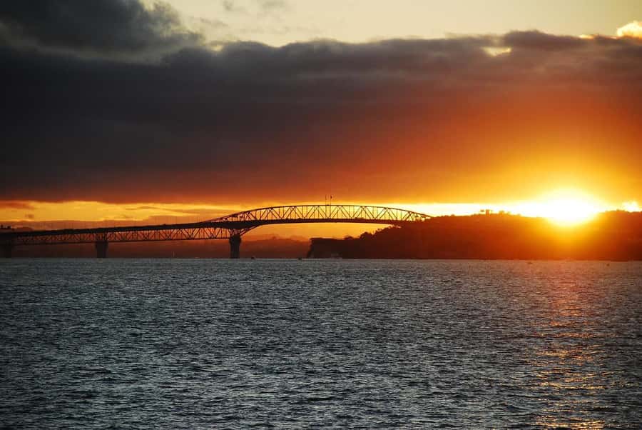 Auckland: Nightlights Harbour Cruise with Canapés and Drink - Key things to know before you go