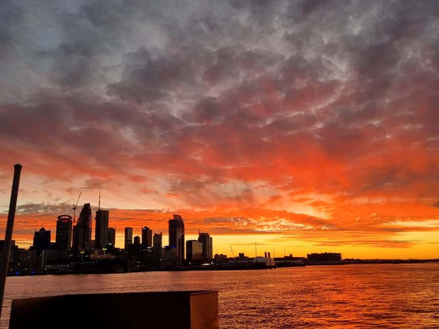 Auckland: Nightlights Harbour Cruise with Canapés and Drink - The 2-hour night route: Harbour Bridge, Viaduct, and Sky Tower in one sitting
