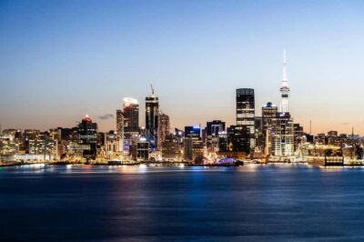 Auckland: Nightlights Harbour Cruise with Canapés and Drink - Getting to the boat: the meeting point details that prevent stress