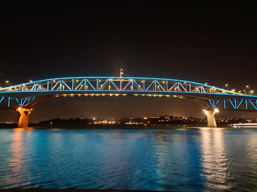 Auckland: Nightlights Harbour Cruise with Canapés and Drink - Should you book the Nightlights Harbour Cruise?